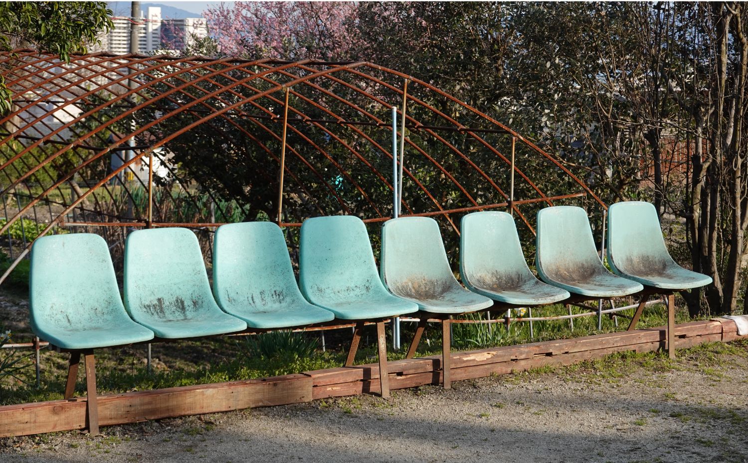 少子高齢化の問題