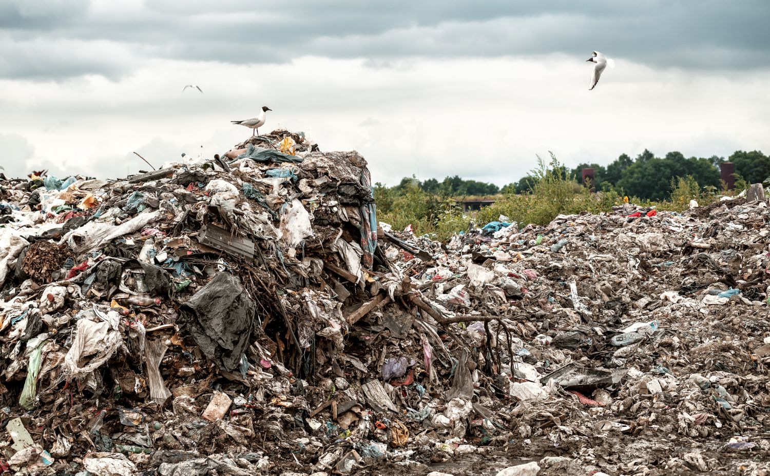 サーキュラーエコノミーの問題